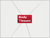 Body Tissues - Mind Map