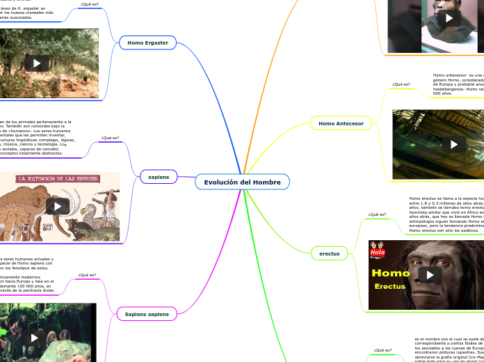 Evolución del Hombre