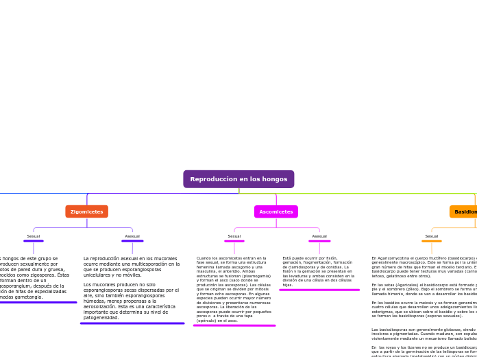Reproduccion en los hongos - Mapa Mental