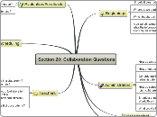 Section 20 Collaboration Questions