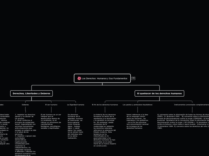 Los Derechos  Humanos y Sus Fundamentos - Mapa Mental