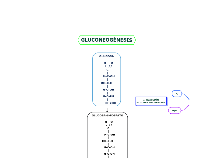 GLUCOSA

     H     O 
    \  //
  C
  ...- Mapa Mental