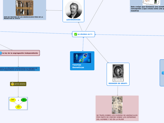 Teorias Geneticas - Mapa Mental