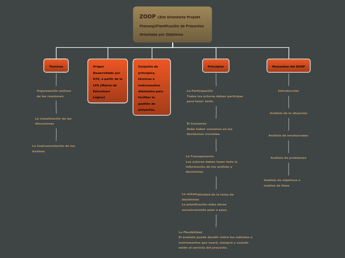 ZOOP (Ziel Orienterte Projekt Planung)P...- Mapa Mental