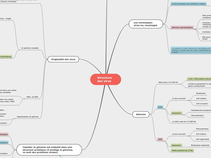 Structure des virus