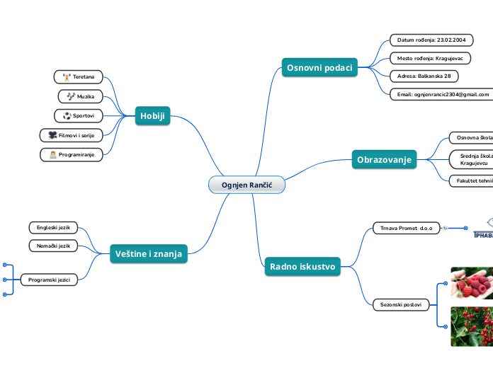 Ognjen Rančić - Mind Map