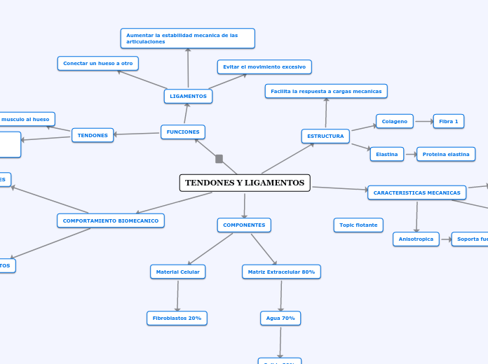 TENDONES Y LIGAMENTOS