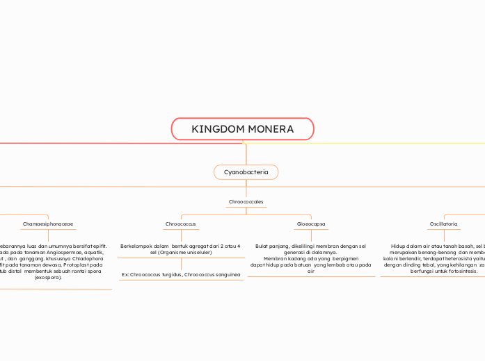 KINGDOM MONERA