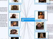 LOS TIPOS DE HOMO - Mapa Mental