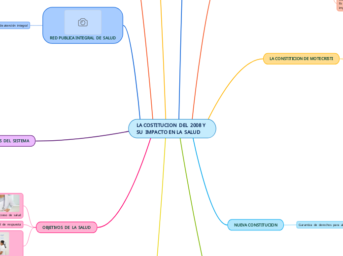 LA COSTITUCION  DEL  2008 Y  SU  IMPACTO EN LA  SALUD