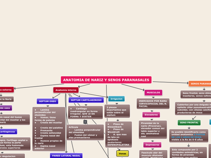 ANATOMIA DE NARIZ Y SENOS PARANASALES