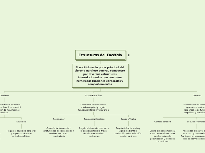 Estructuras del Encéfalo - Mapa Mental