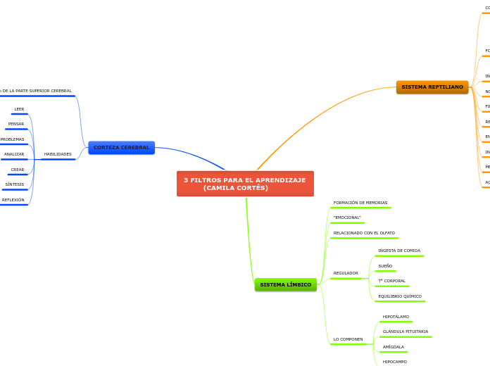 3 FILTROS PARA EL APRENDIZAJE 
         (CAMILA CORTÉS)