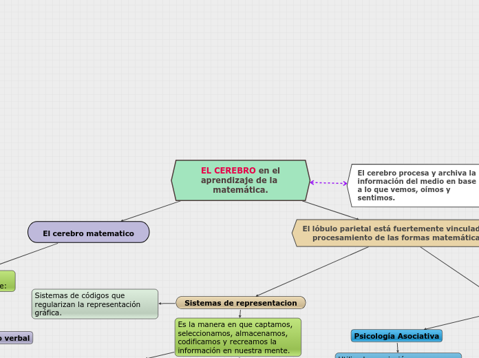 EL CEREBRO EN EL APRENDIZAJE DE LA MATEMATICA