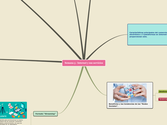 Semana 5 - Internet y sus servicios