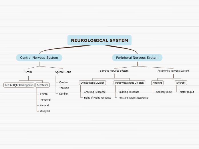 NEUROLOGICAL SYSTEM