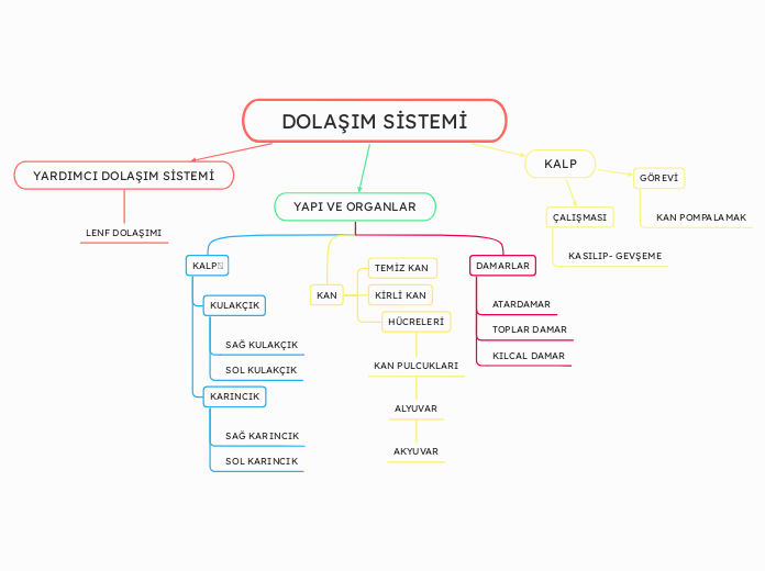 DOLAŞIM SİSTEMİ