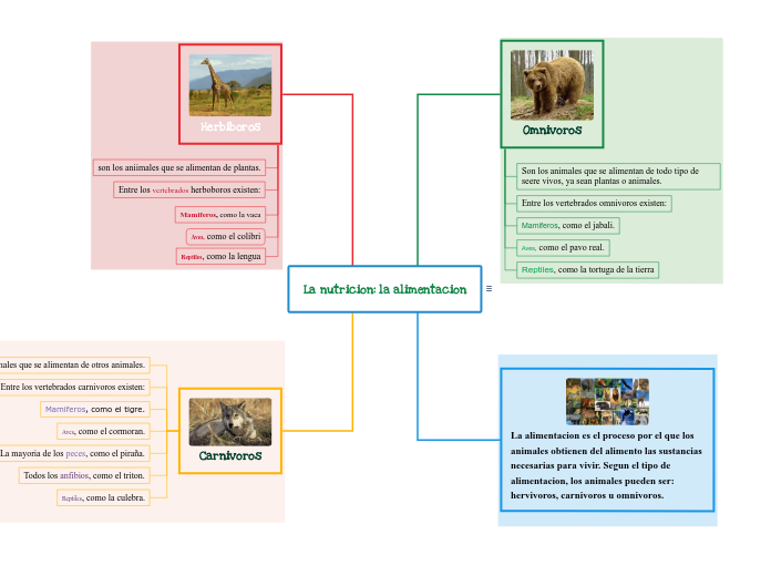 La nutricion: la alimentacion