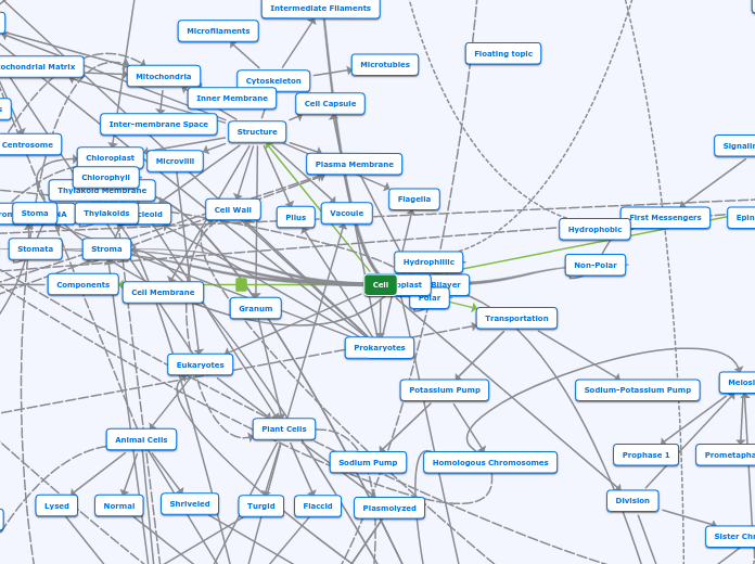 SumrunSheikh_MindMap_DNAwesomeRD