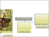  9B Amir Ecological Succession 