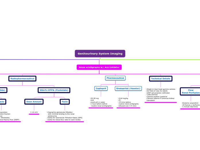 Genitourinary System Imaging