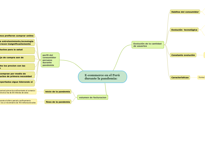 E-commerce en el Perú 
durante la pandemia: