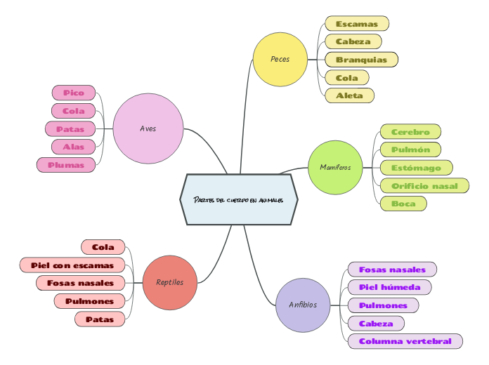 Partes del cuerpo en animales