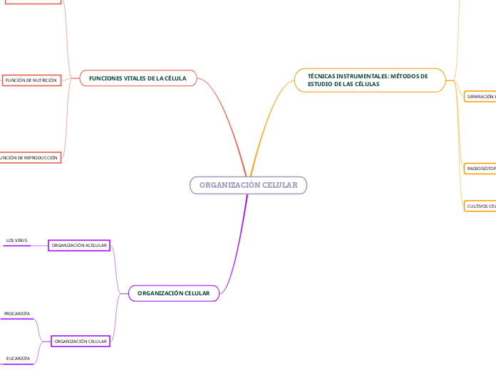 ORGANIZACIÓN CELULAR