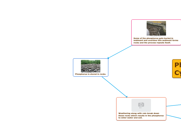 Phosphorus is stored in rocks.