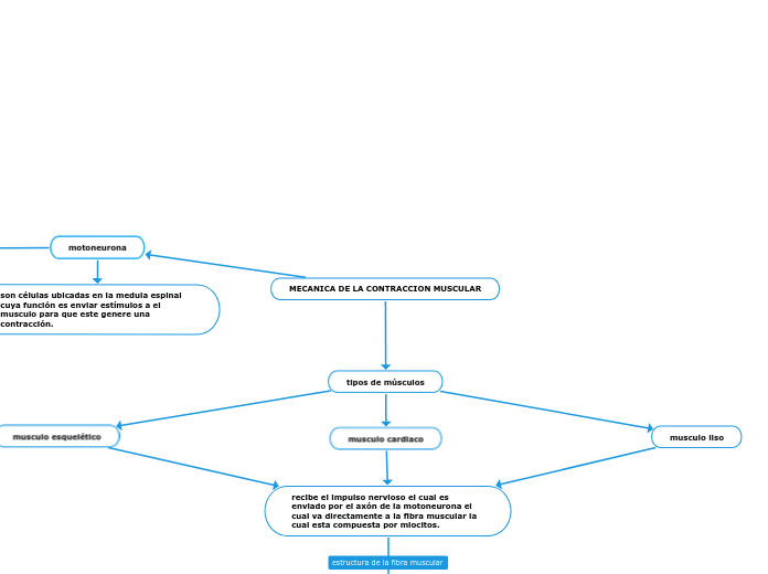 MECANICA DE LA CONTRACCION MUSCULAR