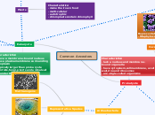 Common Ancestors - Mind Map