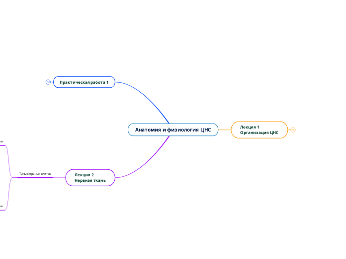 Анатомия и физиология ЦНС - Мыслительная карта