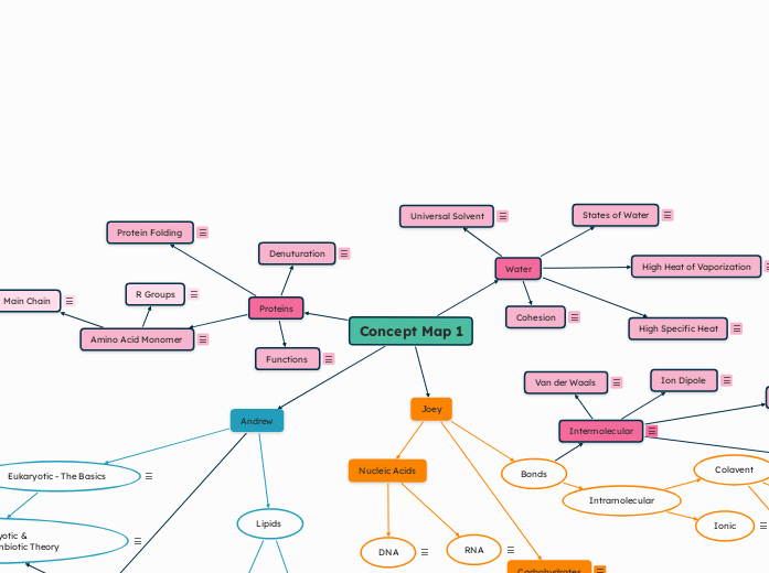 Concept Map 1