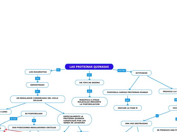 LAS PROTEINAS QUINASAS