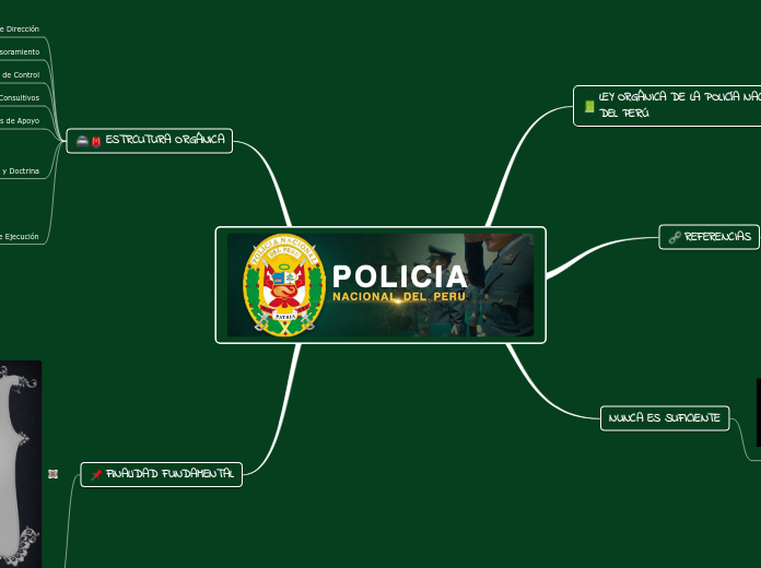 POLICIA NACIONAL DEL PERU