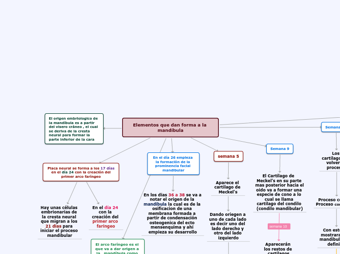 Elementos que dan forma a la mandíbula