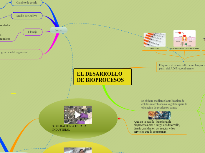 Desarrollo de bioprocesos