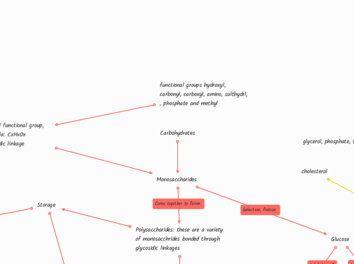 functional groups hydroxyl, carbonyl, carboxyl, amino, sulthydrl, , phosphate and methyl