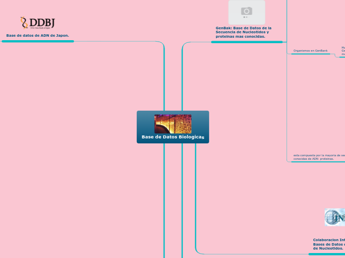 Base de Datos Biologicas - Mapa Mental