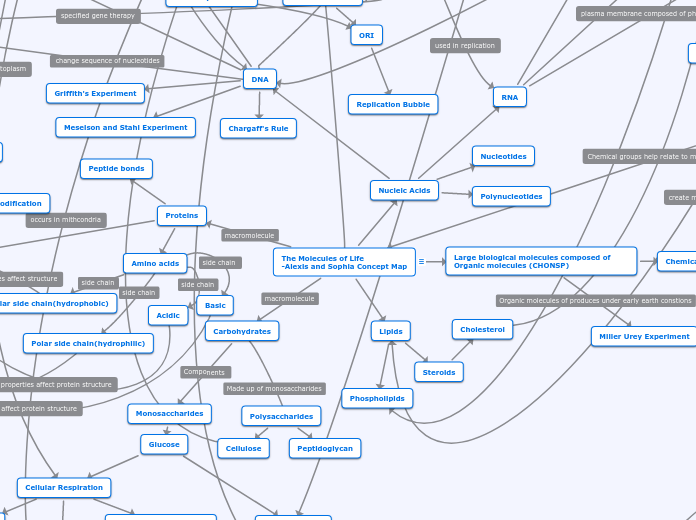 The Molecules of Life
-Alexis and Sophia Concept Map