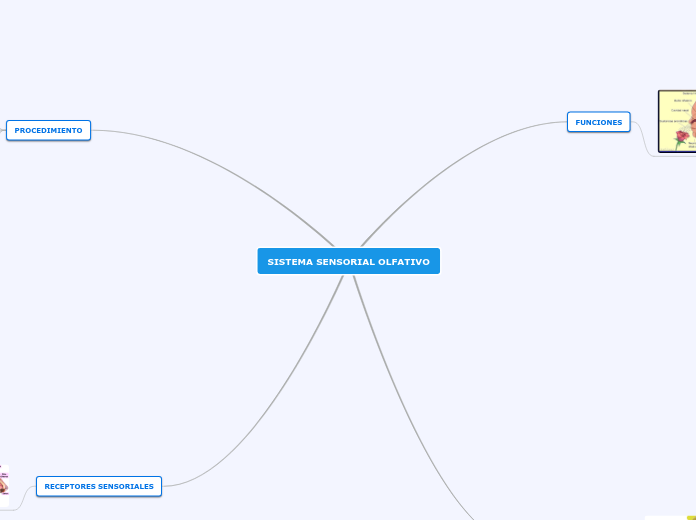 SISTEMA SENSORIAL OLFATIVO - Mapa Mental