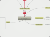       CATECOLAMINAS
Noradrenalina/adren...- Mapa Mental