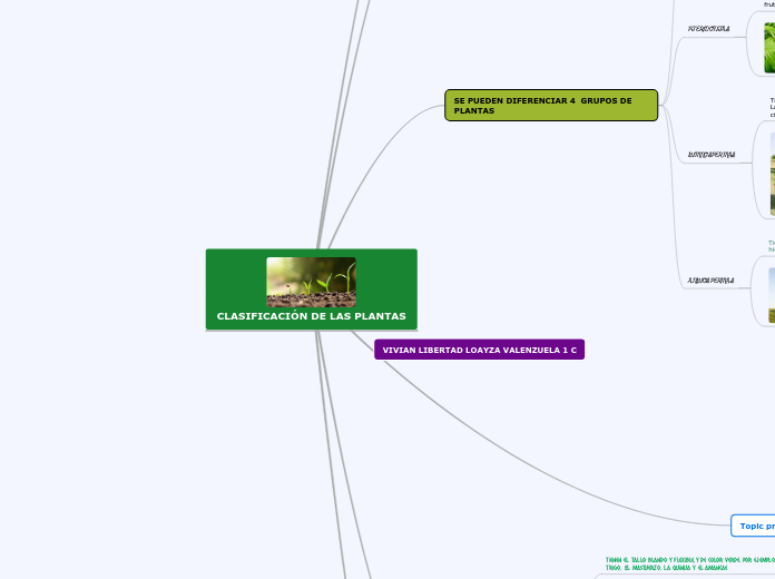 CLASIFICACIÓN DE LAS PLANTAS - Mapa Mental