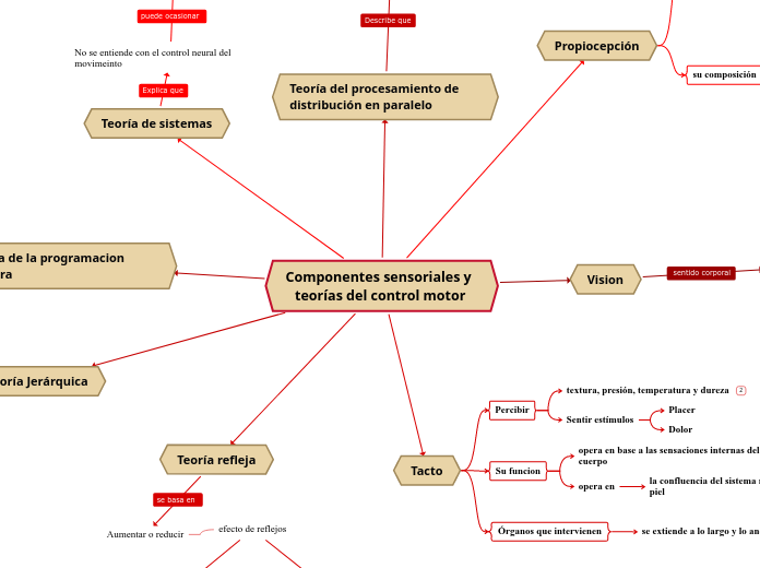 Componentes sensoriales y teorías del control motor