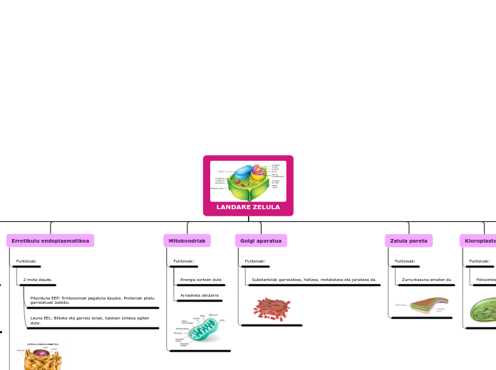 LANDARE ZELULA - Mind Map