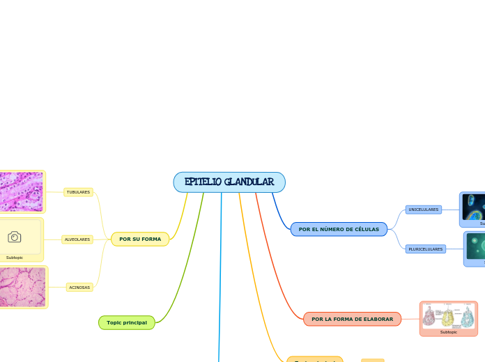 EPITELIO GLANDULAR