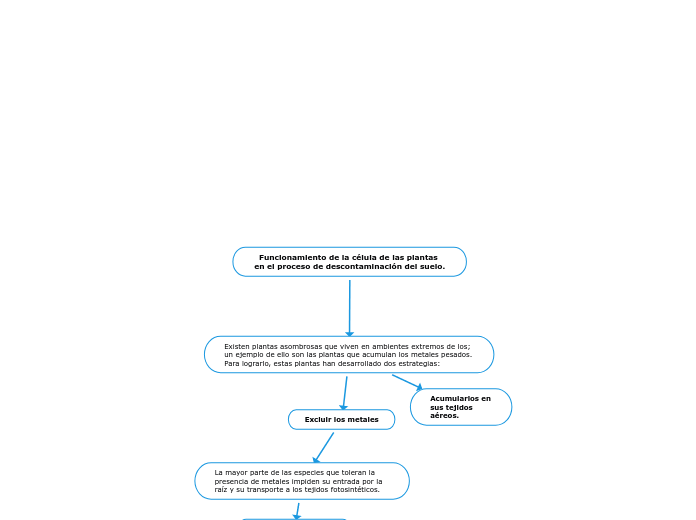 Funcionamiento de la célula de las plantas en el proceso de descontaminación del suelo.