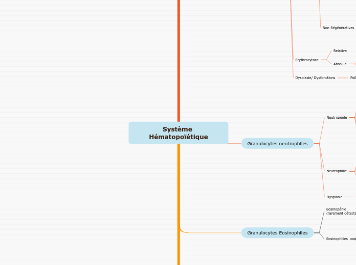 Système Hématopoïétique