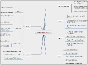 Cultural Diversity - Mind Map