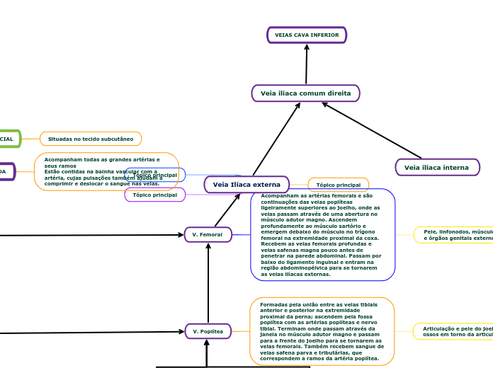 Veia Ilíaca externa - Mapa Mental